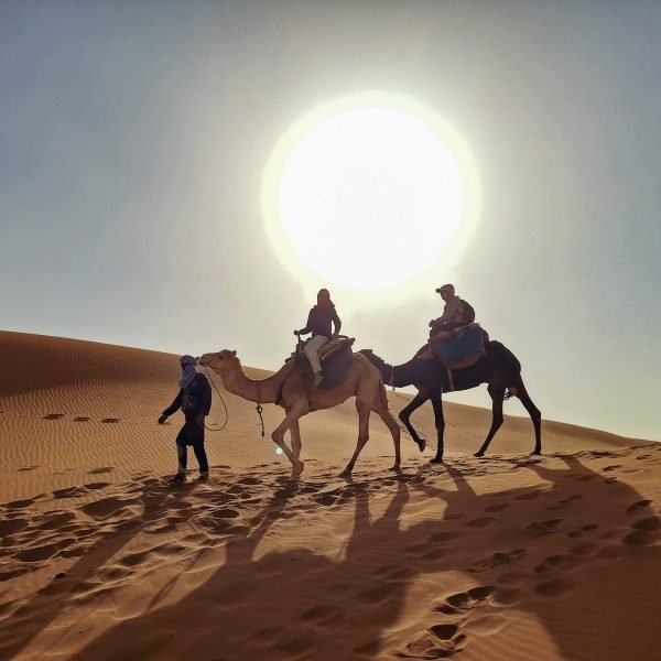 camel riding tours