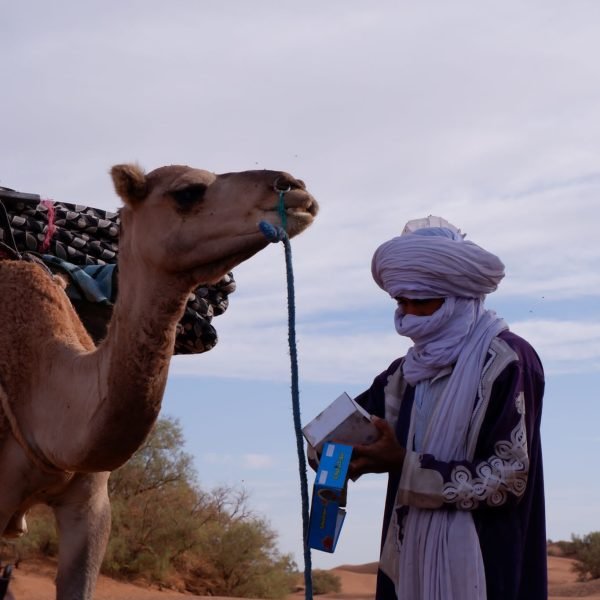 Morocco desert